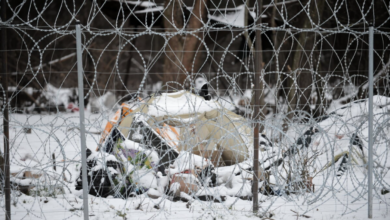 Мигранты оставили в лесу на белорусско-польской границе свалку из вещей 3