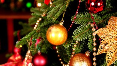 В Дании создали рождественскую ёлку толщиной в один атом 9