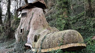 Загадочный дом в лесу обнаружен в Великобритании 4