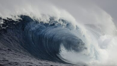 На Курилах объявили угрозу цунами