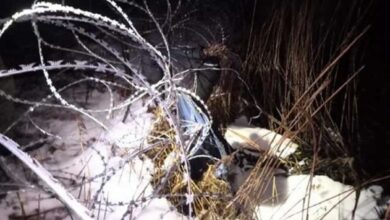 Польские пограничники обнаружили на границе с Беларусью манекен мигранта