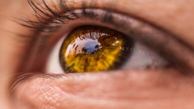 В Китае научились определять продолжительность жизни человека по сетчатке глаз 9