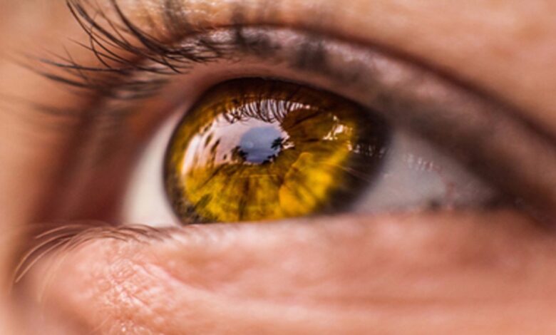 В Китае научились определять продолжительность жизни человека по сетчатке глаз 1