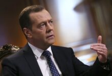 заместитель председателя Совета безопасности России Дмитрий Медведев