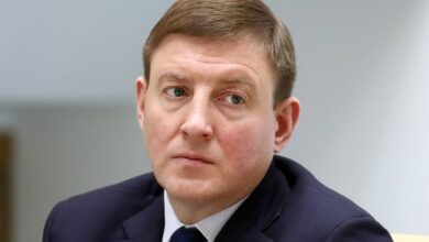 Вице-спикер Совфеда РФ Турчак призвал помочь ДНР и ЛНР вооружением