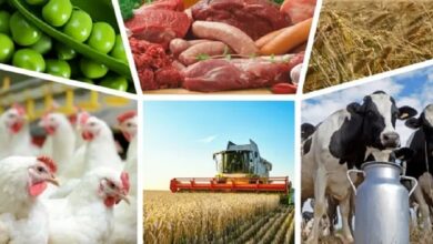 Беларусь обеспечила в 2021 году экспорт сельхозпродукции на рекордную сумму