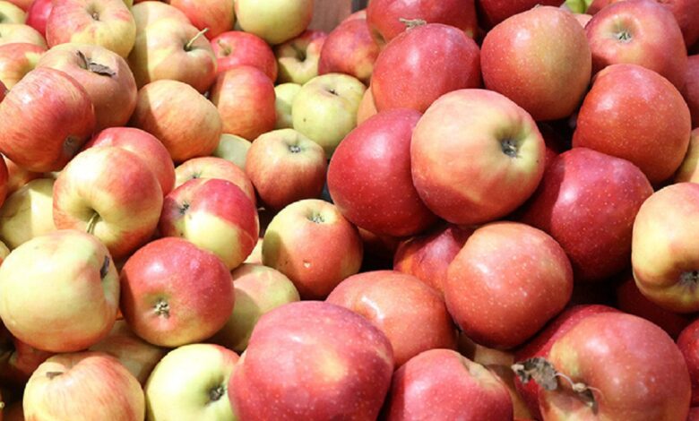 Правительство ограничило цены на овощную продукцию и яблоки