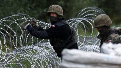 польские военные устанавливают колючую проволоку, граница Беларуси и Польши