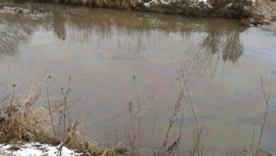 Найдены виновные в загрязнении нефтяными отходами реки Лошицы 5