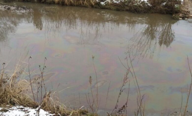 Найдены виновные в загрязнении нефтяными отходами реки Лошицы 1