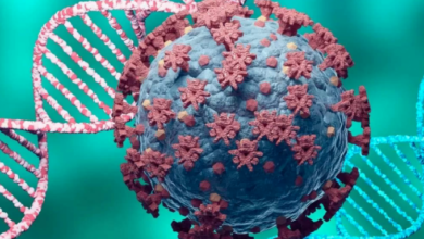 коронавирус и ДНК
