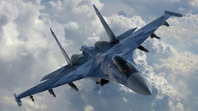 Видеофакт: тренировка Су-30СМ Беларуси и Су-35С России 7