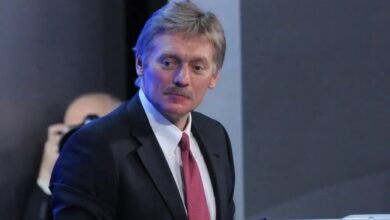 Песков: говорить об итогах спецоперации ВС РФ на Украине преждевременно