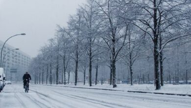 В Беларуси 14 февраля сохранится гололедица