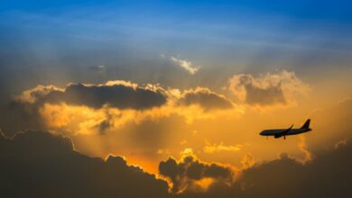 Сикорский: белорусские авиационные организации работают стабильно