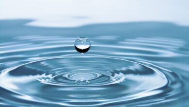 Учёные доказали существование двух форм жидкой воды 10