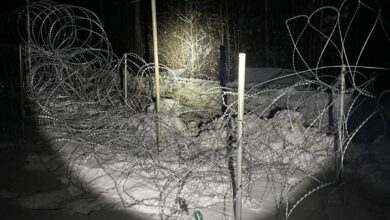 вечером 4 февраля 2022 года вблизи белорусско-литовской границы в Поставском районе белорусские пограничники обнаружили труп лося