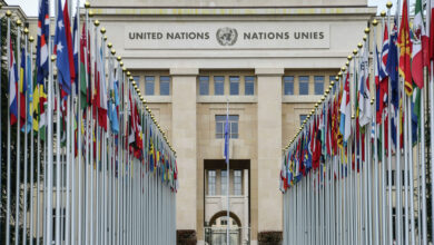 Здание ООН и флаги