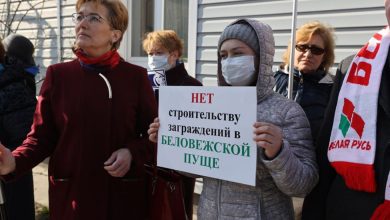 В Бресте проходит проходит пикет против строительства забора в Беловежской пуще 3