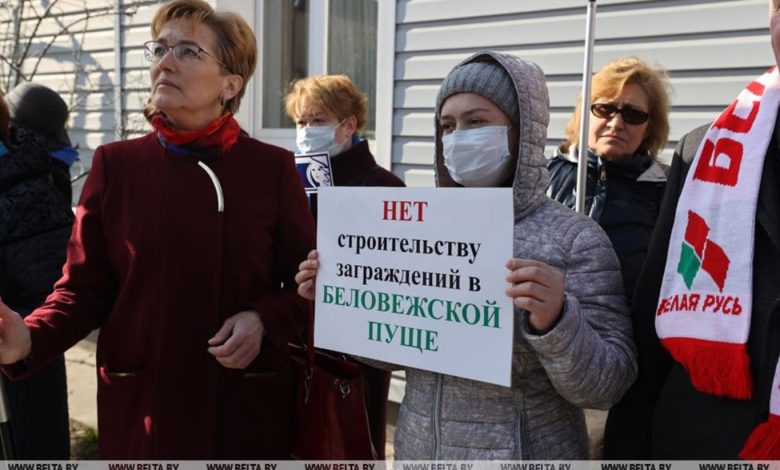 В Бресте проходит проходит пикет против строительства забора в Беловежской пуще 1
