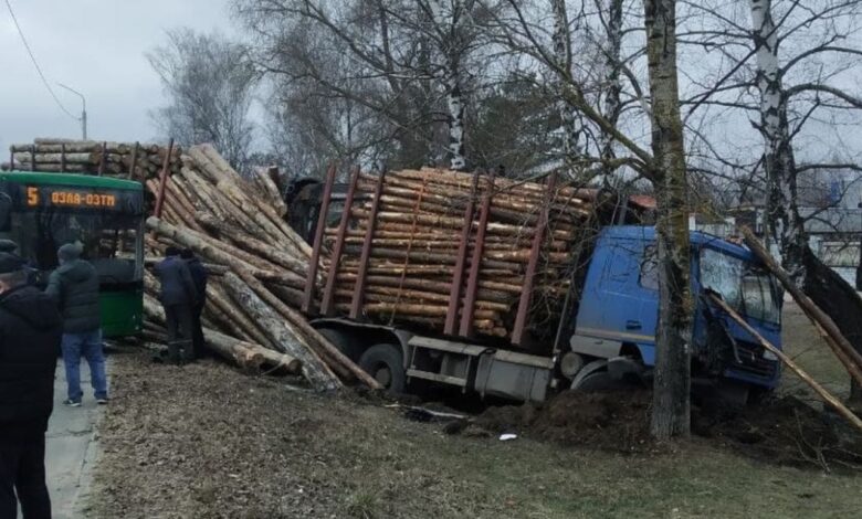 В Осиповичах маршрутный автобус столкнулся с лесовозом 1