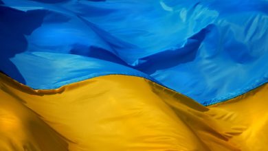 Украинские социологи обнародовали результата соцопроса «Украина в условиях войны»