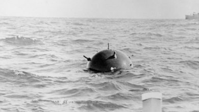 ФСБ заявила о возможности дрейфа установленных Киевом мин в Черном море в сторону Босфора