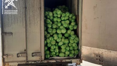 ГТК: участились попытки вывоза овощей из Беларуси без лицензий