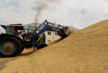 В России ввели временный запрет на экспорт сахара и зерновых культур