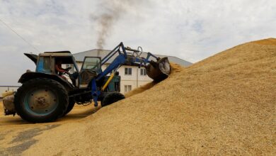 В России ввели временный запрет на экспорт сахара и зерновых культур