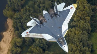 "Ростех" пригласил Тома Круза на знакомство с новейшим истребителем Су-57 1