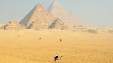 пирамиды Гизы в Египте