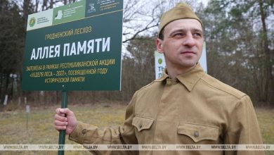 Акция «Неделя леса» стартовала в Беларуси