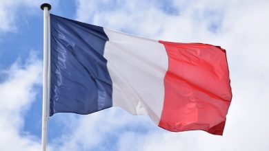На президентских выборах во Франции лидирует Марин Ле Пен