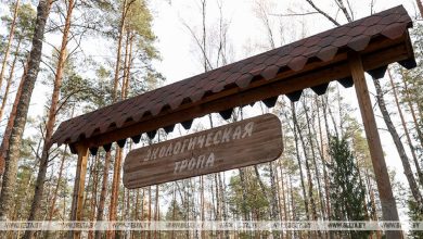 Минская область представит на форуме «Наследие Беларуси» новые маршруты и культурные сокровища