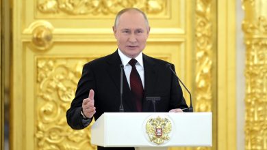 Путин подписал указ об ответных мерах визового характера в отношении ряда стран