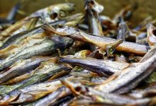 Госстандарт запретил к продаже сушёную рыбу с избытком плесени и дрожжей 1
