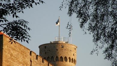 Флаг Эстонии