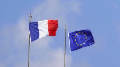 Флаги Франции и ЕС