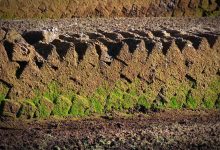 нарезка торфа