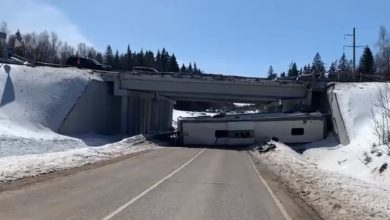 В Подмосковье рейсовый автобус упал с моста. Есть погибшие 9