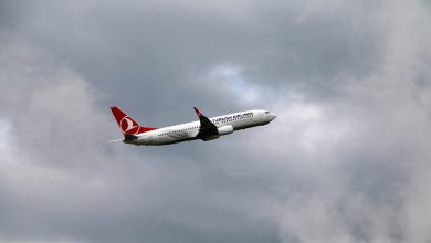 самолет авиакомпании Turkish Airlines в небе