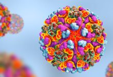 В США начали тестировать вирус, убивающий рак 17
