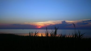 Азовское море
