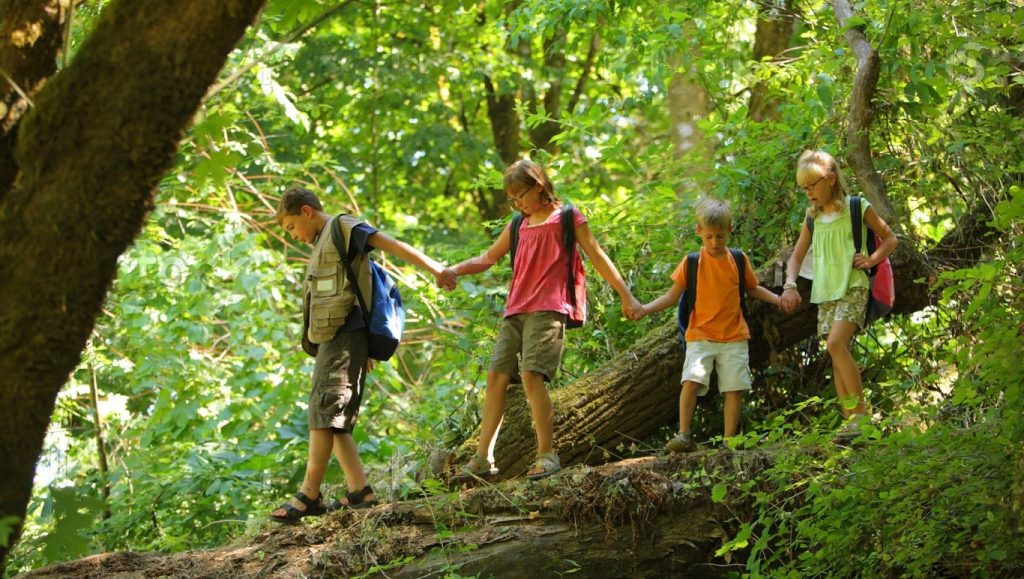 Детский отдых