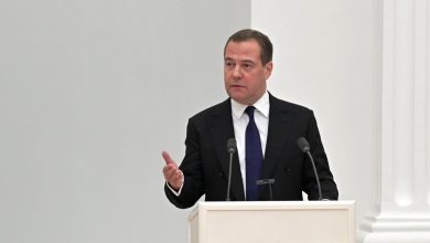 заместитель председателя Совета безопасности России Дмитрий Медведев