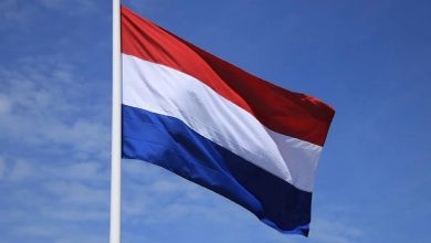Нидерланды рассматривают вопрос новых поставок Украине оружия