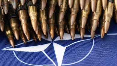 НАТО, Североатлантический альянс, боеприпасы