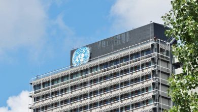 здание Организации Объединённых Наций, эмблема ООН на здании