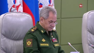 С. Шойгу, министр обороны России
